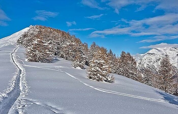 Cimone del Margno Ciaspolata PIan delle Betulle