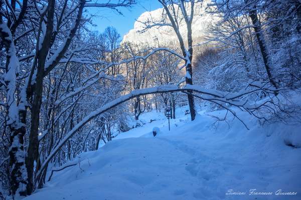 Canzo arrivo sotto la Colma di Ravella