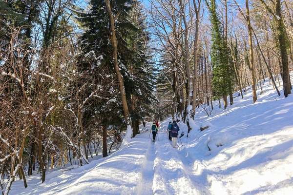 Corni di Canzo Innevati