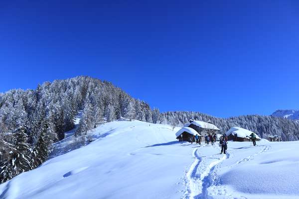 Montagna Trekking Ciaspolate