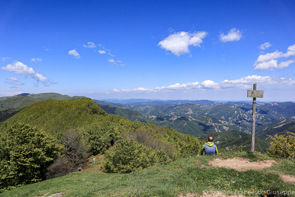 Foreste Casentinesi