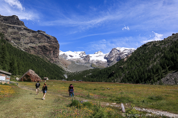 Monte Rosa e Piani di Verra