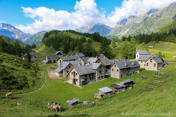 Trekking Milano Montagna Alpe Devero Crampiolo