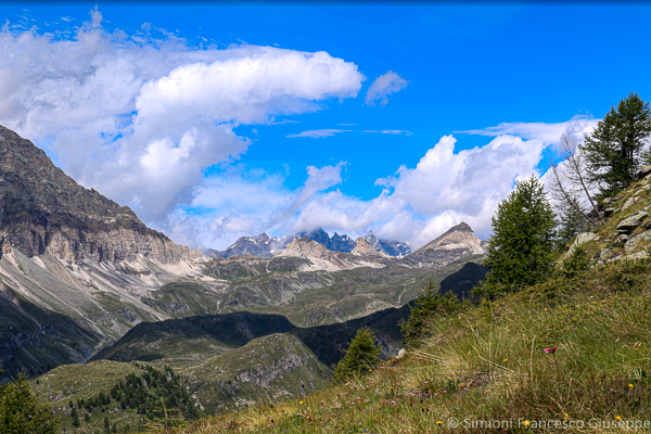 Palon di resy Da Fracey vista sulle Cime Bianche