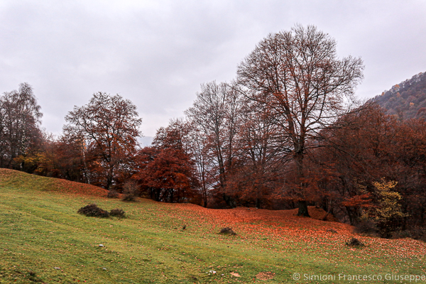 Monte Pasquella Colori Autunnale