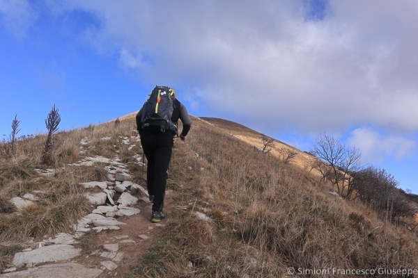 Salita Monte Pallanzone