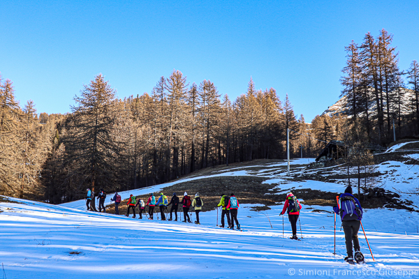 Palasina Ayas Ciaspole Montagna