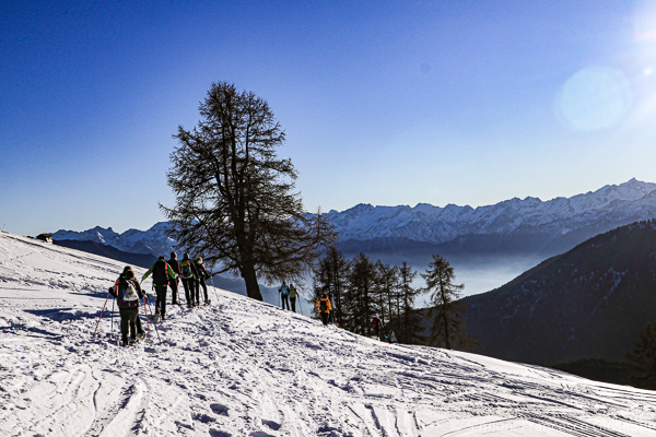 Palasina Ayas Ciaspole Montagna