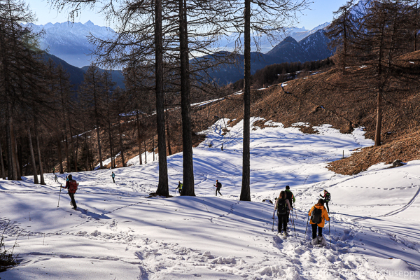 Palasina Ayas Ciaspole Montagna