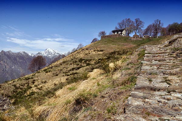 Trekking Milano Lifeintrek Escursione Valgrande Piemonte Lombardia Montagna