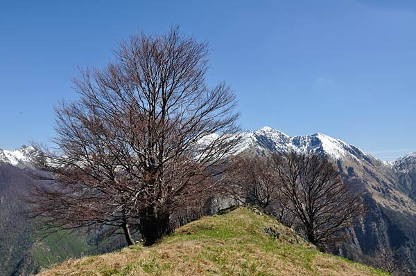 Trekking Milano Lifeintrek Escursione Valgrande Piemonte Lombardia Montagna