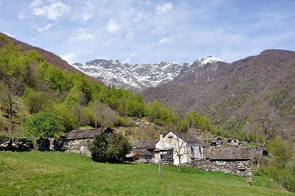 Trekking Milano Lifeintrek Escursione Valgrande Piemonte Lombardia Montagna