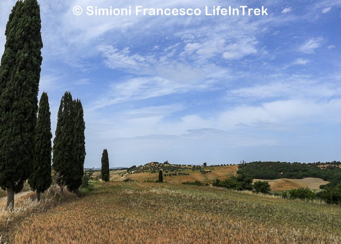 Trekking Toscana Montalcino Montepulciano Pienza Val d'Orcia Cipressi