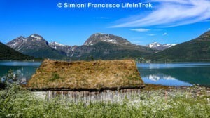 Trekking Norvegia fiordo Lifeintrek