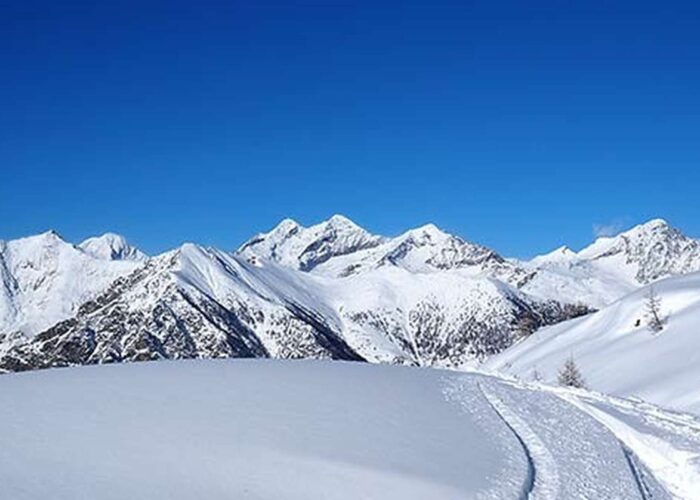 Ciaspolata Monte Portola Punta Cressa aosta Gressoney Neve Panorami Cime Valdostane Monte Challand Avic Mars Trekking Trek Lifeintrek Organizzati Lombardia Milano