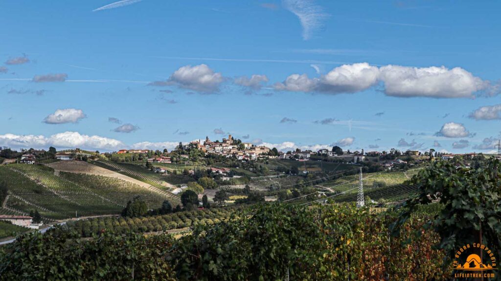 trekking Neive Barbaresco Trek Vigne Lifeintrek