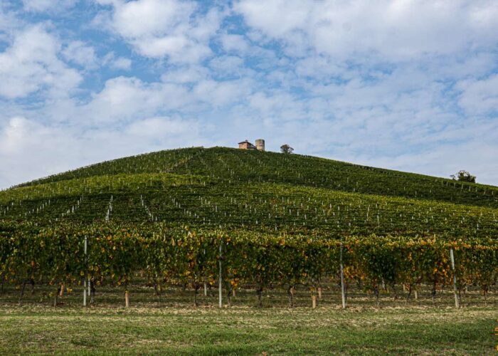 Trek Barolo Monforte Alba Trekking Lifeintrek Vigne Escursionismo