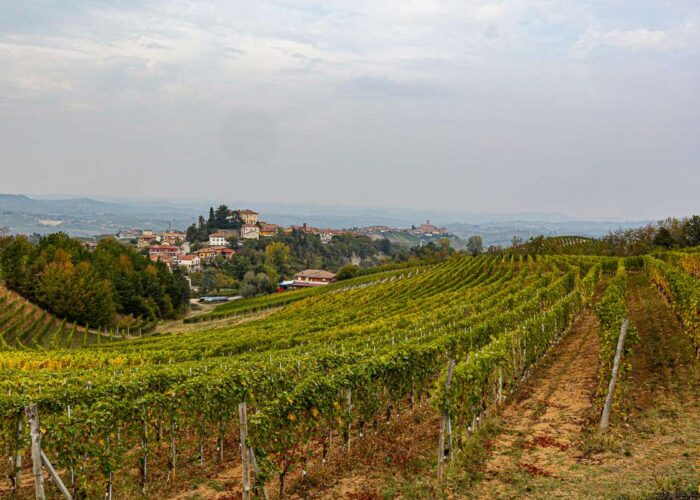 Trek Barolo Monforte Alba Trekking Lifeintrek Vigne Escursionismo Santa Maria Della Versa Golferenzo Vigneti