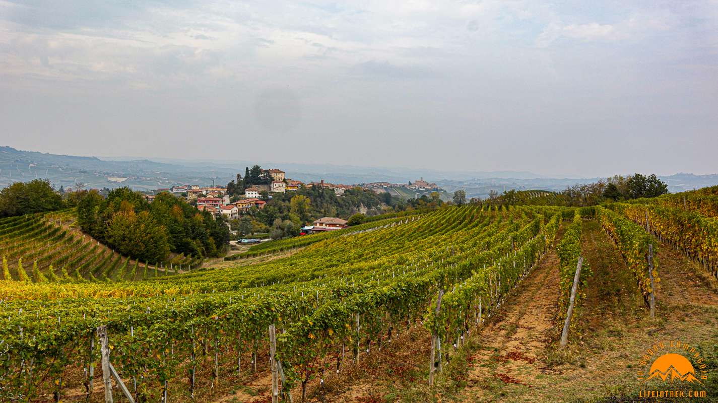 Trek Barolo Monforte Alba Trekking Lifeintrek Vigne Escursionismo Santa Maria Della Versa Golferenzo Vigneti