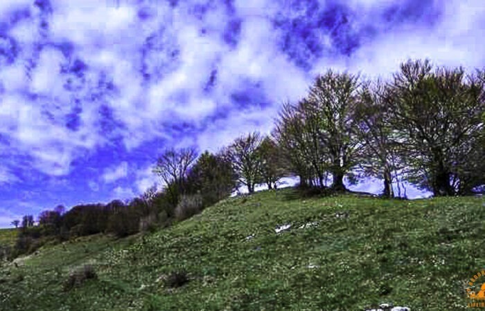 Escursione Rifugio Prabello Intelvi Trek Lombardia Lifeintrek