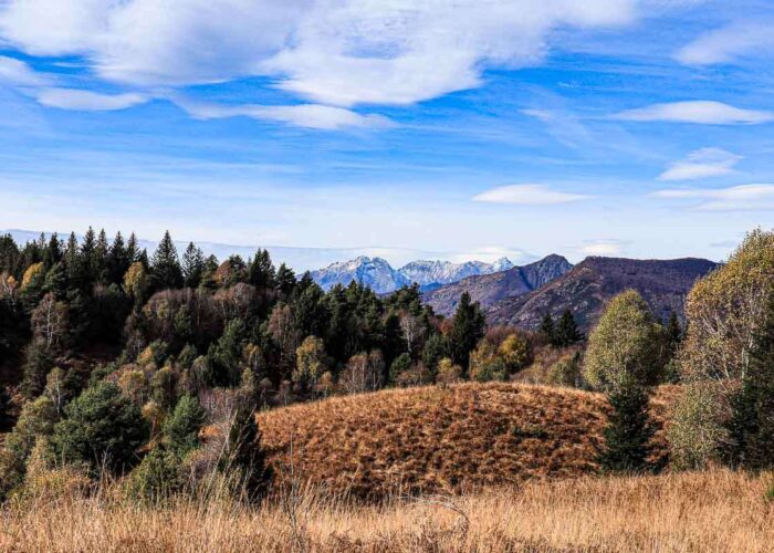 Lago Maggiore Trekking Viggiona Monte Pianbello Tremeno Trek Lifeintrek Panchina Monte Carza Piemonte Autunno Primavera