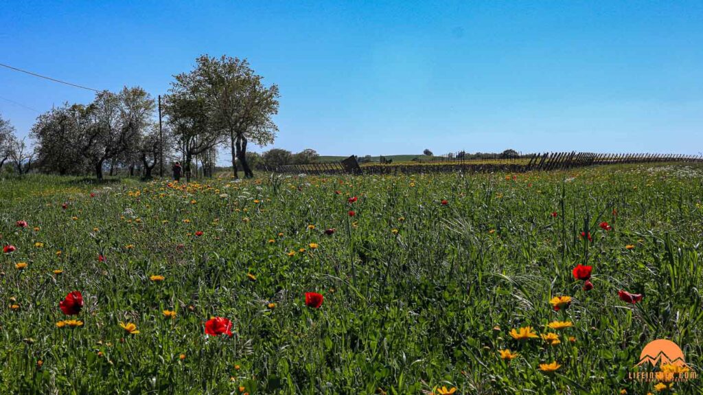 Trek Vie Cave Sorano Pitigliano Toscana Lifeintrek Milano Legnano Zainoinspalla