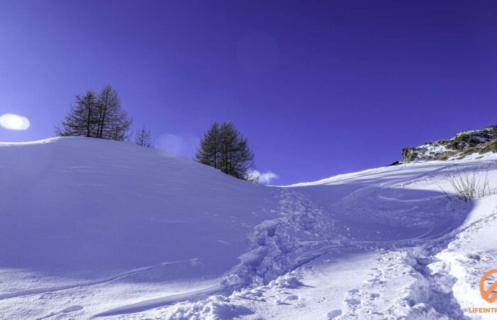 Ciaspolata Monte Ross Avic Gruppo Trekking Torino Novara Milano Legnano