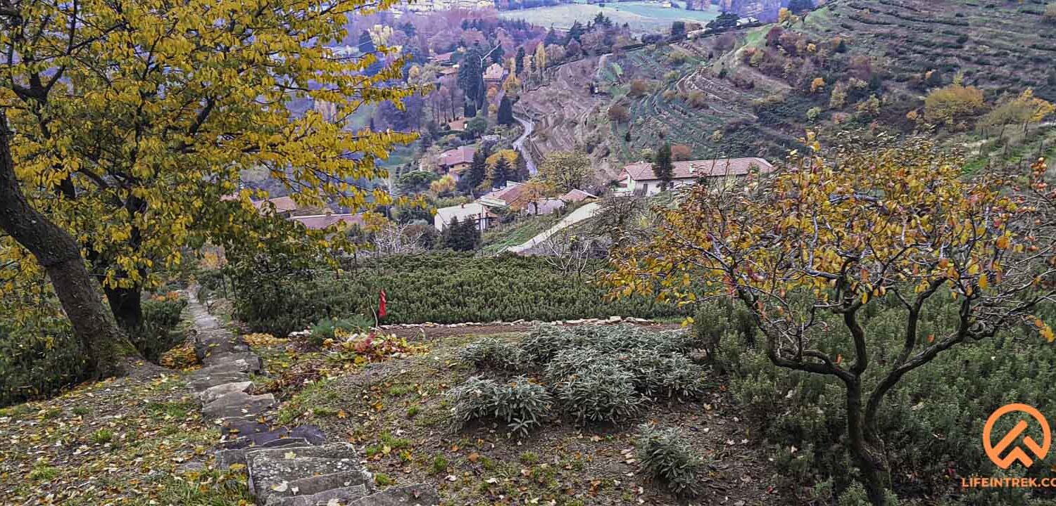 curone brianza trek in lombardia vigne colline e rosmarino gruppo trekking Milano legnano gallarate varese