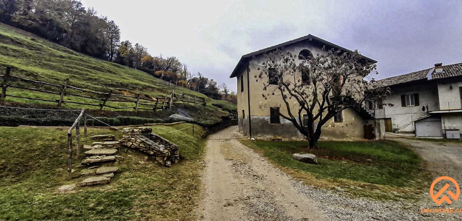 curone brianza trek in lombardia vigne colline e rosmarino gruppo trekking Milano legnano gallarate varese