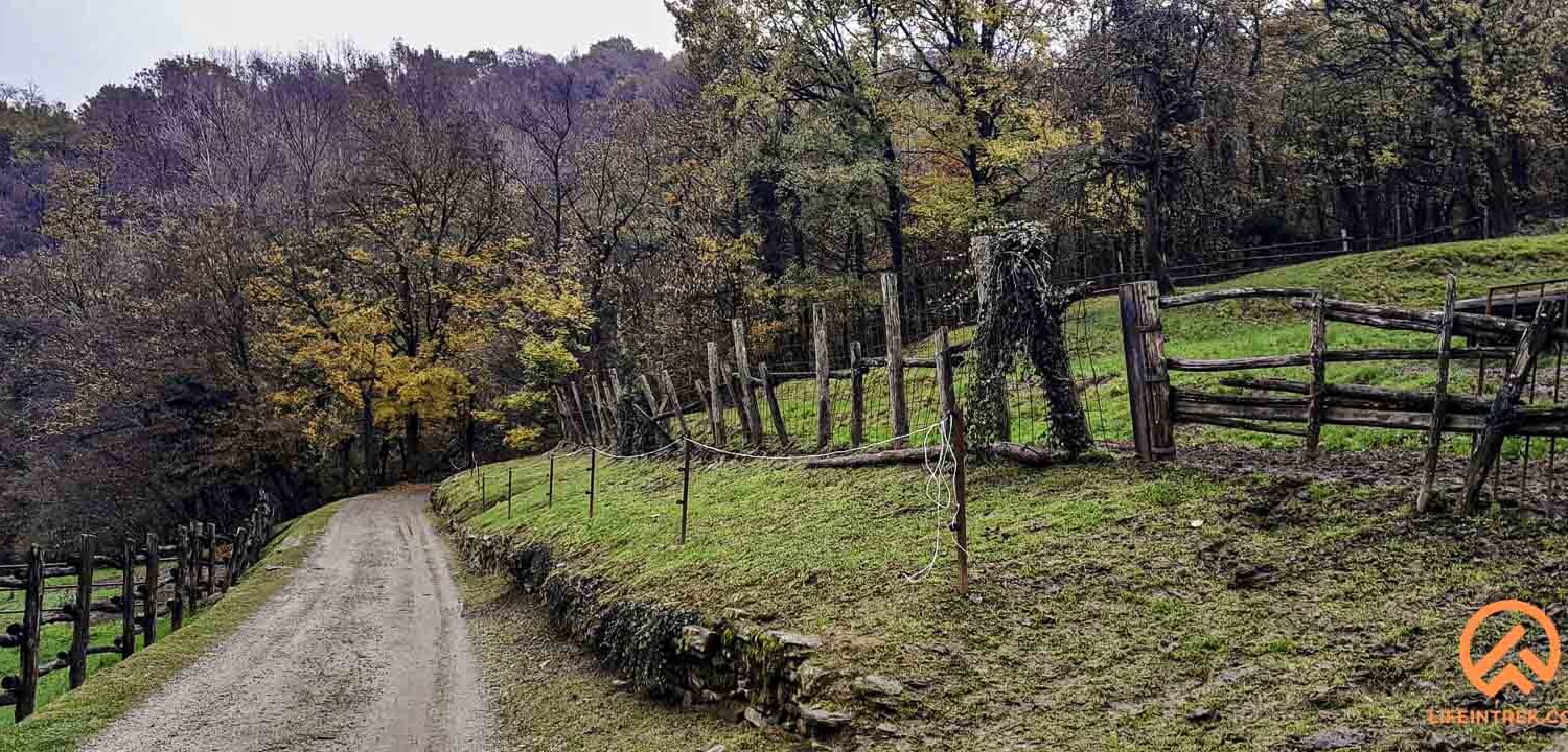 curone brianza trek in lombardia vigne colline e rosmarino gruppo trekking Milano legnano gallarate varese