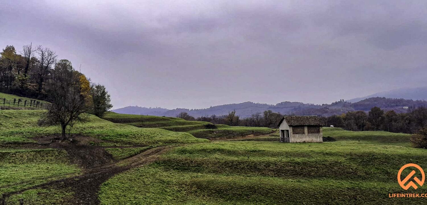 curone brianza trek in lombardia vigne colline e rosmarino gruppo trekking Milano legnano gallarate varese