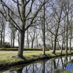 Parco Ticino la Fagiana Pontevecchio