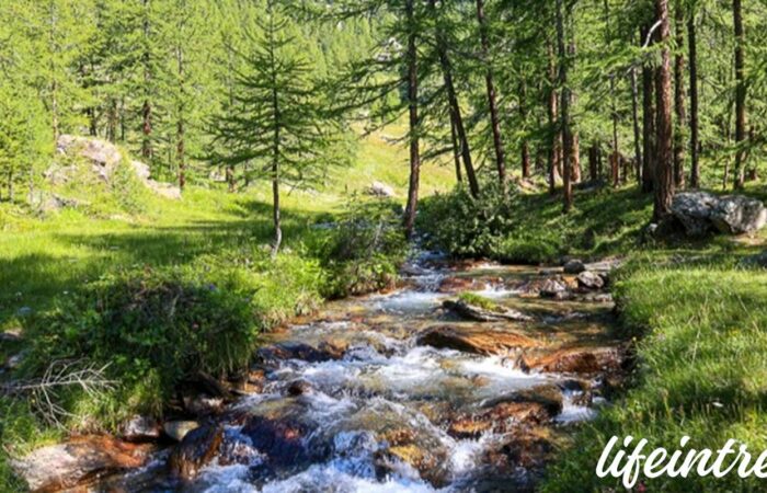 Gruppo Trekking Giovani Lombardia