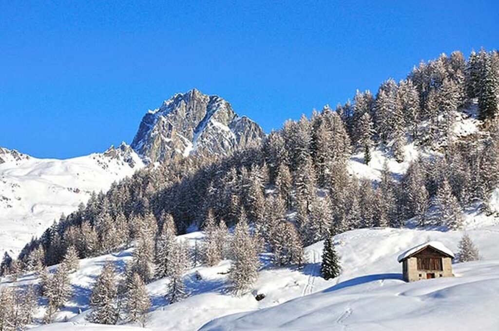 Sentieri innevati Engadina