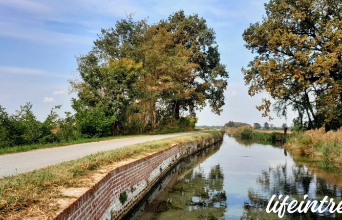 In bici sul naviglio