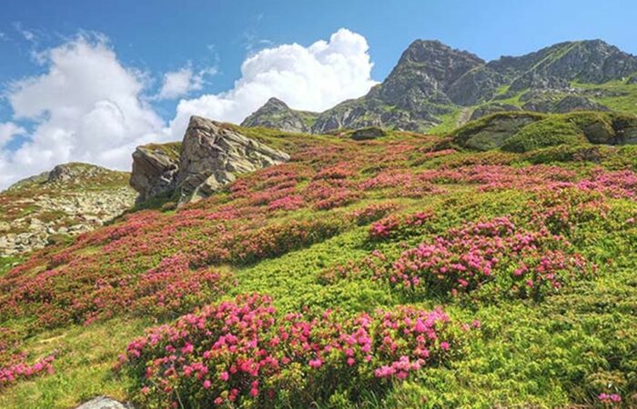 Pizzo di Emet