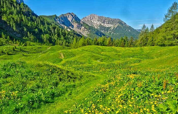 Sentiero dei fiori Pizzo Arera, Passo del Branchino con passaggio al rifugio Capanna 2000, gruppo escursionistico trekking Milano Lombardia