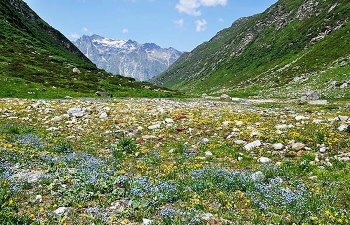 Escursioni pochi chilometri da Milano, il trekking in Val Fedoz è a due passi dalla Lombardia partendo dal Passo del Maloja e Laghi di Sils