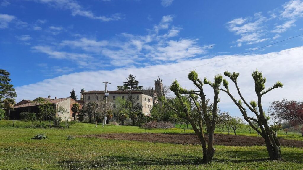 Sentiero Madonna Del Monte Escursione in Val Tidone Montalbo Ortrugo