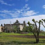 Sentiero Madonna Del Monte Escursione in Val Tidone Montalbo Ortrugo