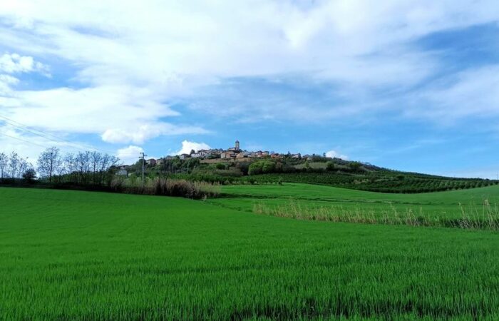 Trekking Colline vigneti e vigne Fubine Monferrato