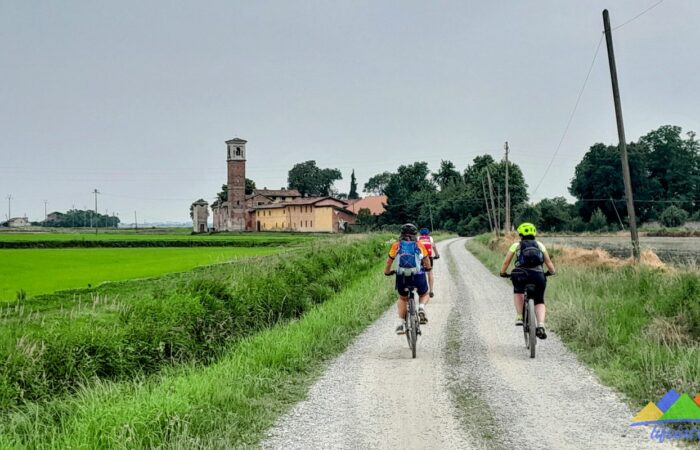 Cascine Risaie Provincia Di Novara