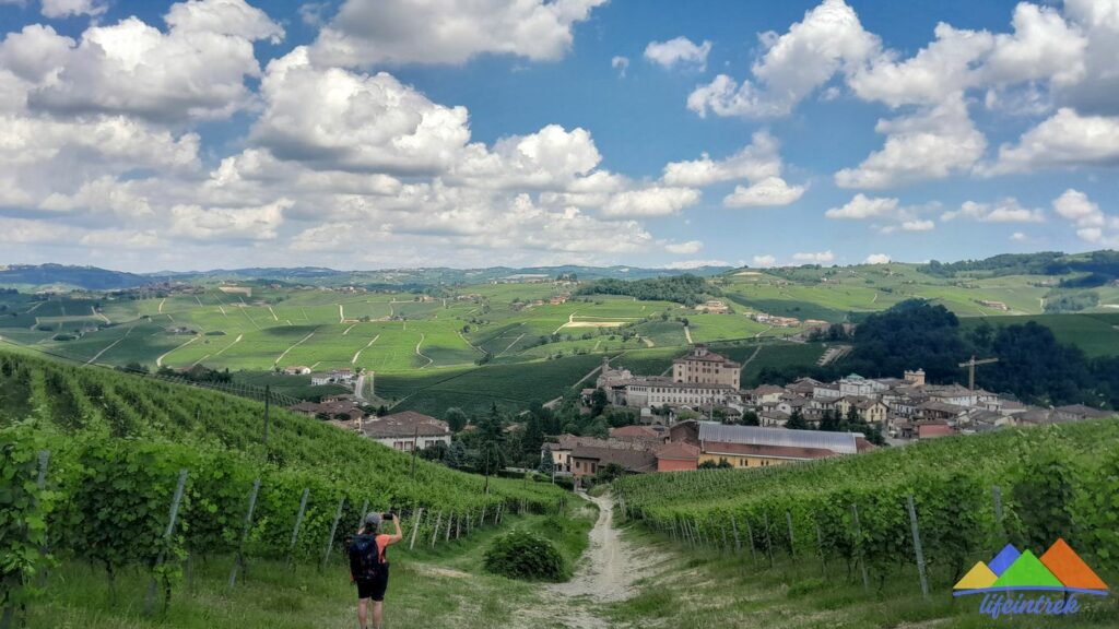 Barolo Langhe e Vigneti