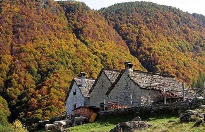 Come arrivare al Rifugio Parpinasca