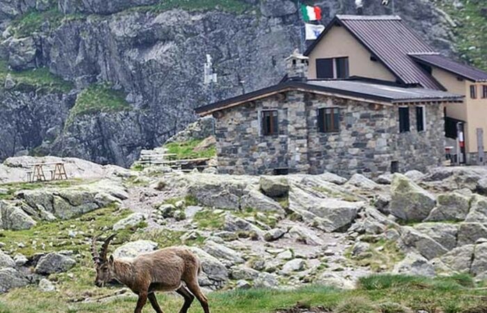 Sentiero Rifugio Benigni Orobie Bergamasche Gruppo Trekking Milano Lombardia Rifugi Orobie Bergamasche