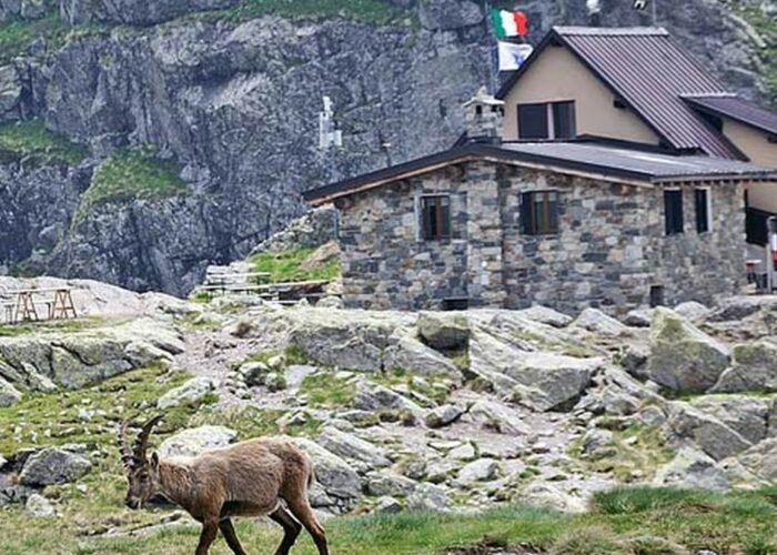 Sentiero Rifugio Benigni Orobie Bergamasche Gruppo Trekking Milano Lombardia Rifugi Orobie Bergamasche