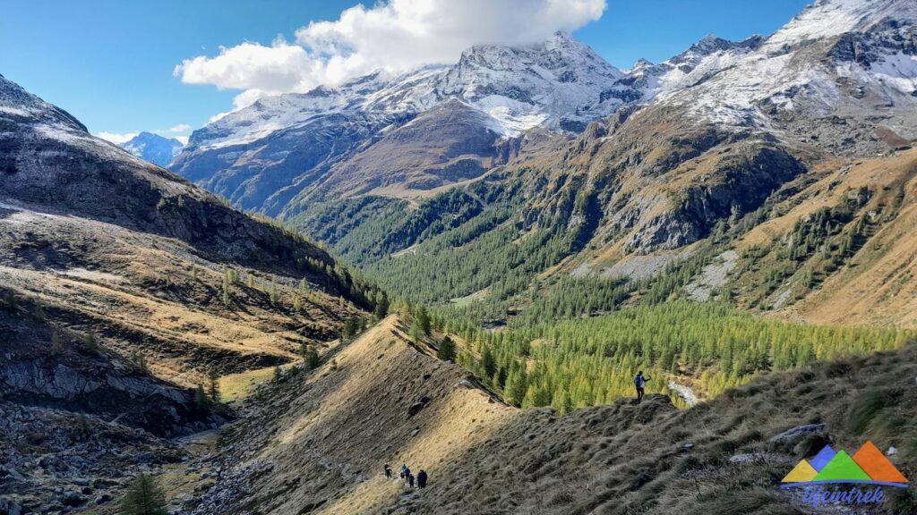 Morena Sorgenti Del Lys da Gressoney la Trinitè