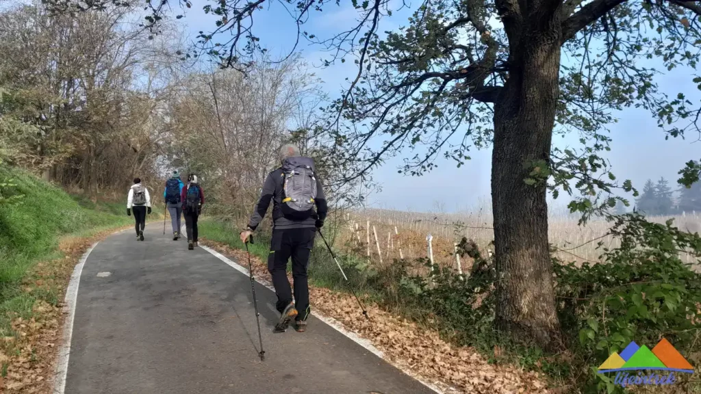 Trekking Pavia Oltre Po Pavese Canneto Pavese