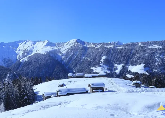 Parco Orobie Valtellinesi Gruppo trek per fare Trekking in Lombardia Varese Abbiategrasso