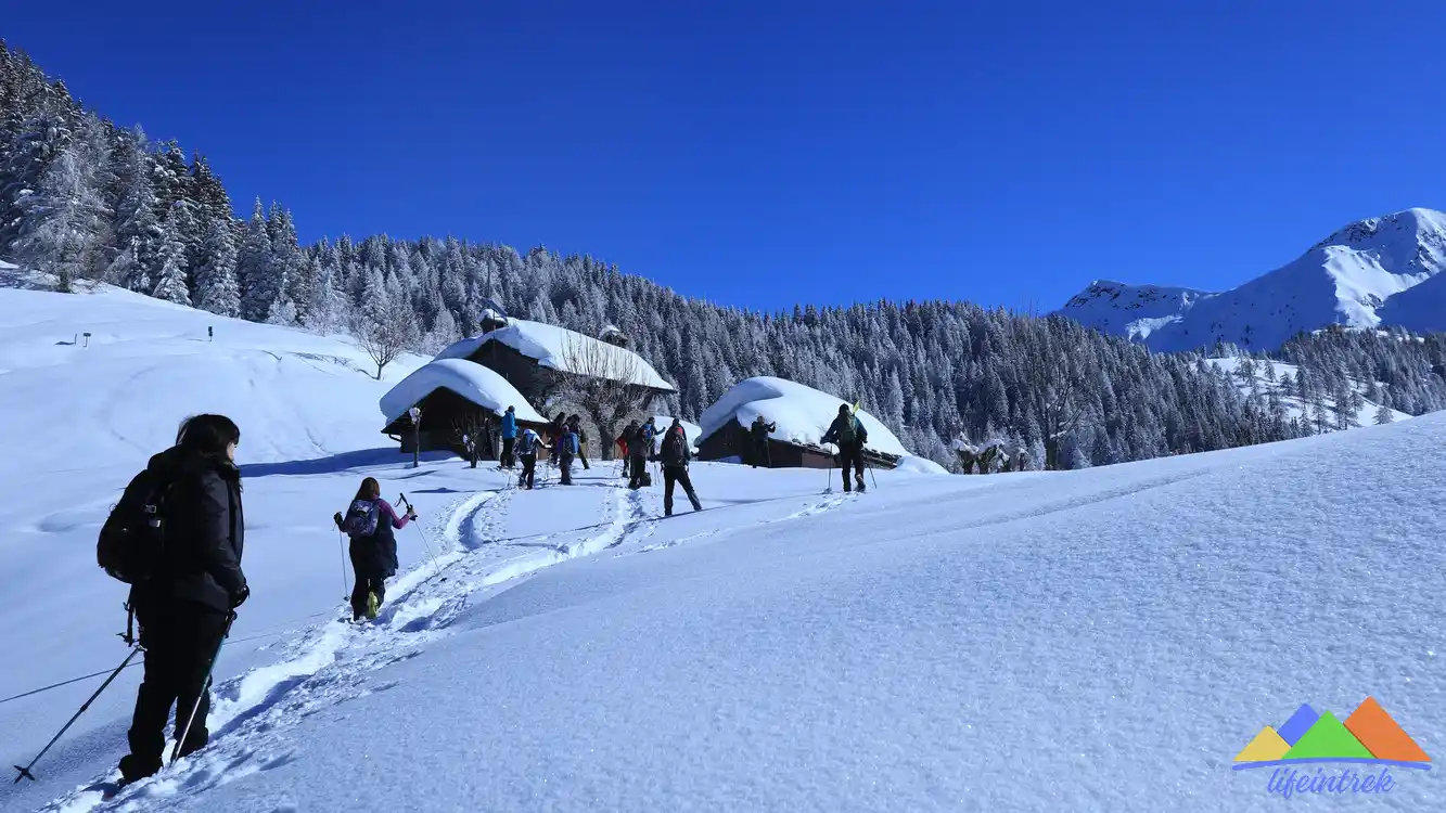 Scegliere le ciaspole per la montagna